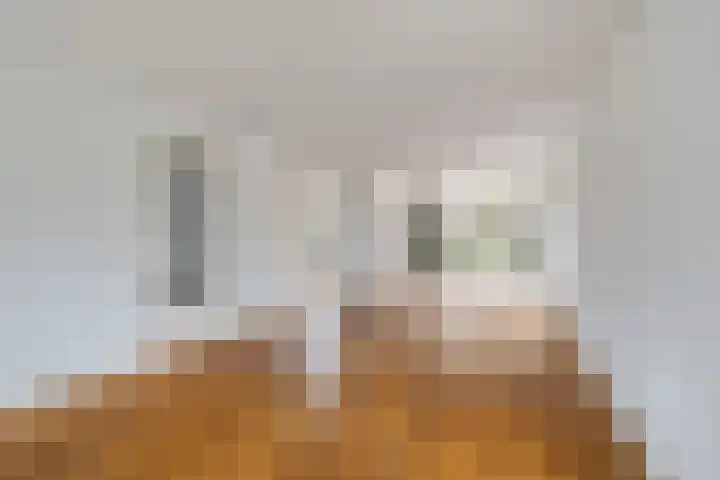 Spoormakerserf 95 Helmond thumbnail 6