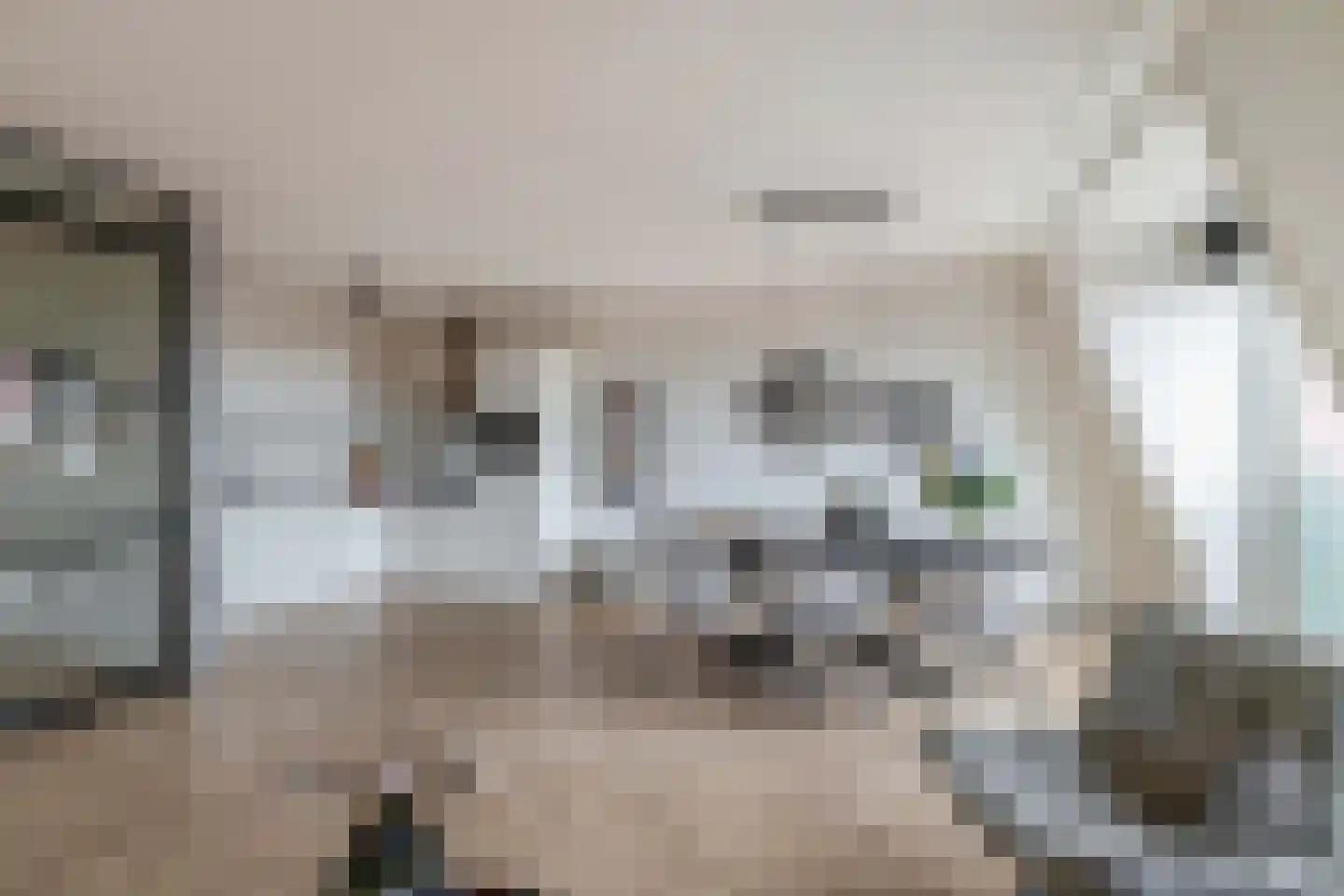 Spoorpad 114 Waddinxveen thumbnail 14