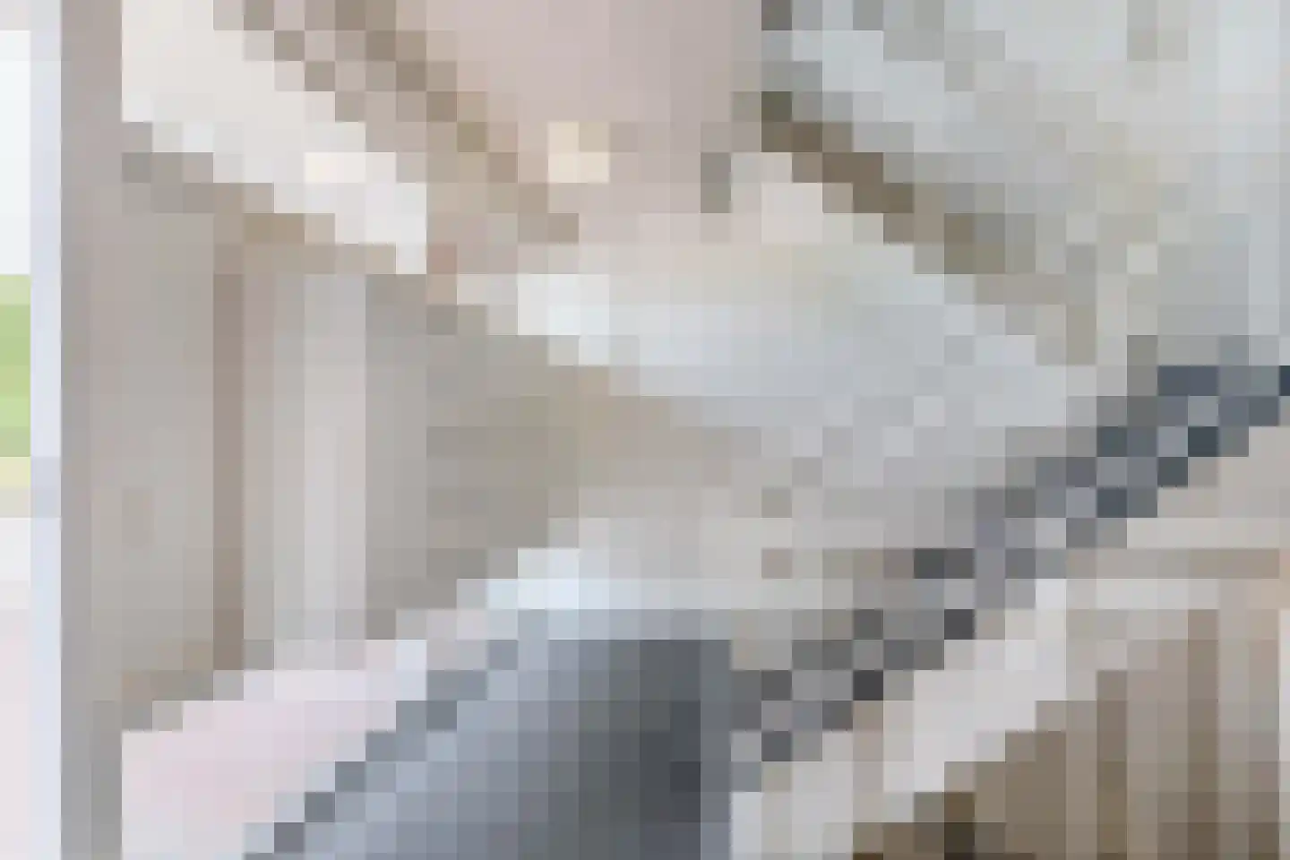 Spoorpad 114 Waddinxveen thumbnail 6