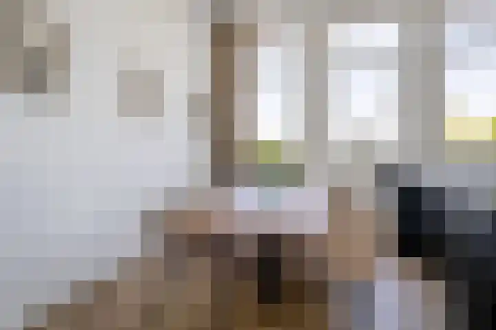 Spoorpad 140 Waddinxveen thumbnail 13