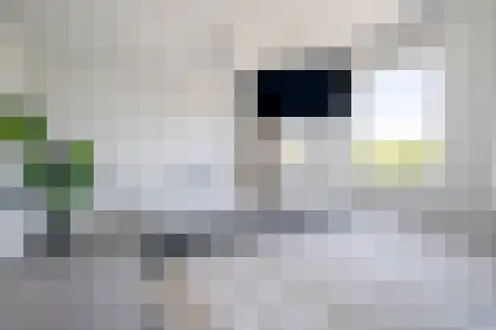Spoorpad 140 Waddinxveen thumbnail 24