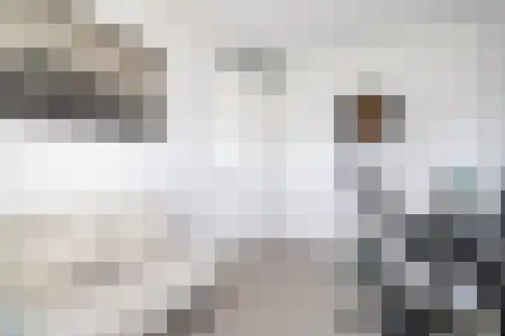 Spoorpad 140 Waddinxveen thumbnail 29