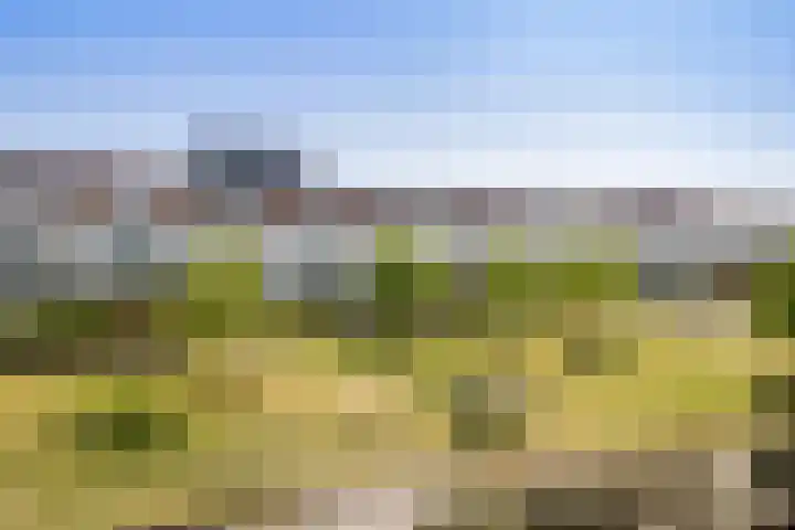 Spoorpad 140 Waddinxveen thumbnail 35