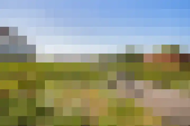 Spoorpad 140 Waddinxveen thumbnail 39