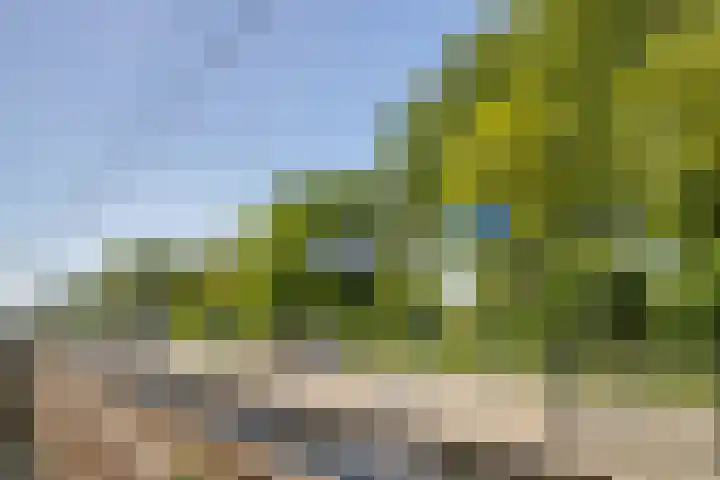 Spoorpad 140 Waddinxveen thumbnail 48