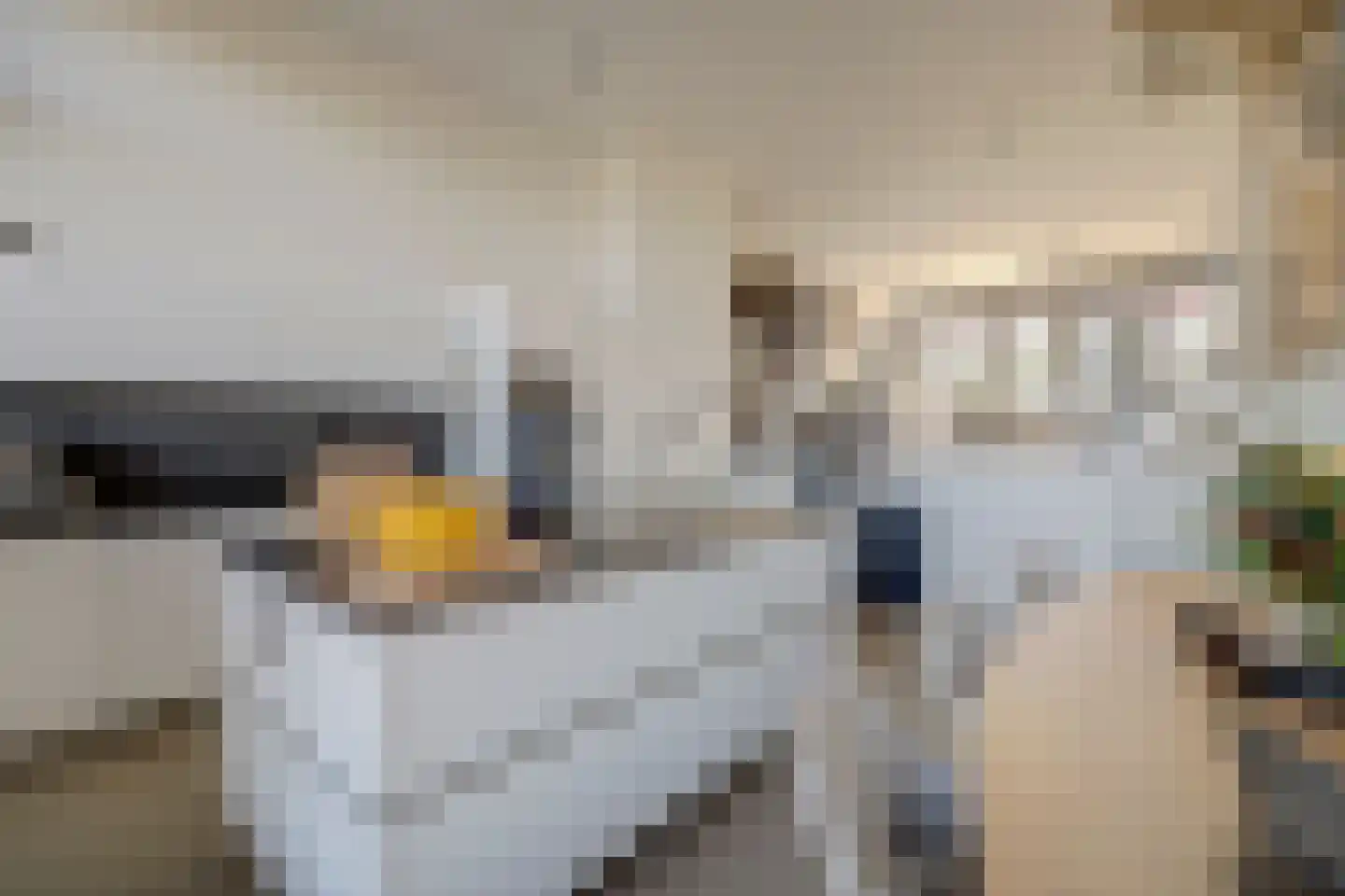 Spoorpad 144 Waddinxveen thumbnail 15