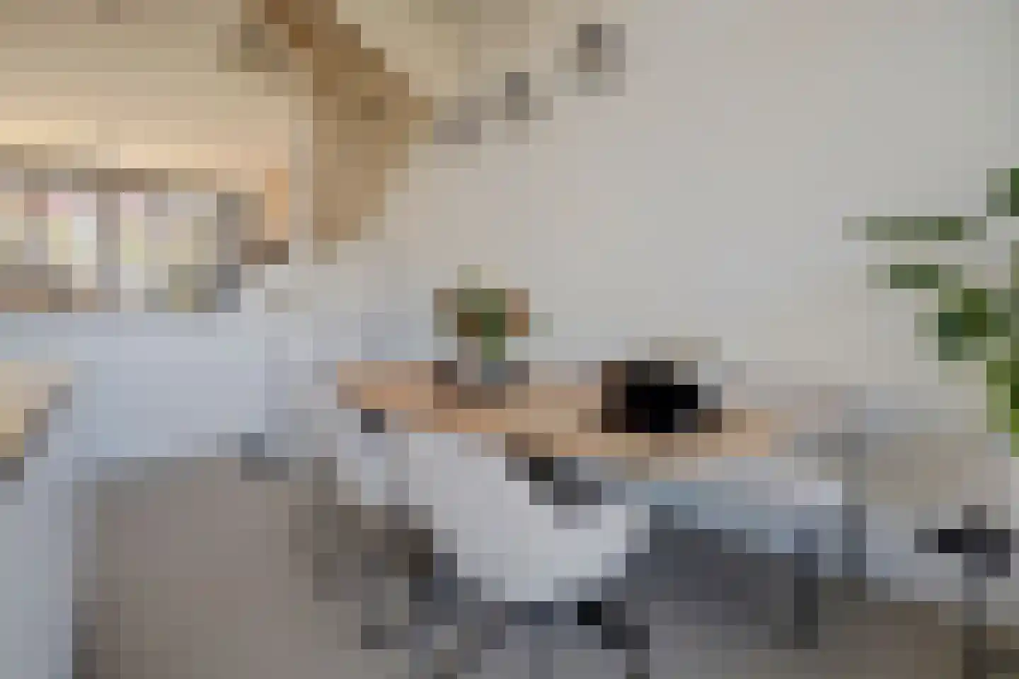 Spoorpad 144 Waddinxveen thumbnail 16