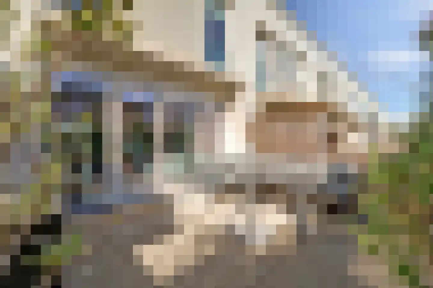 Spoorpad 144 Waddinxveen thumbnail 21