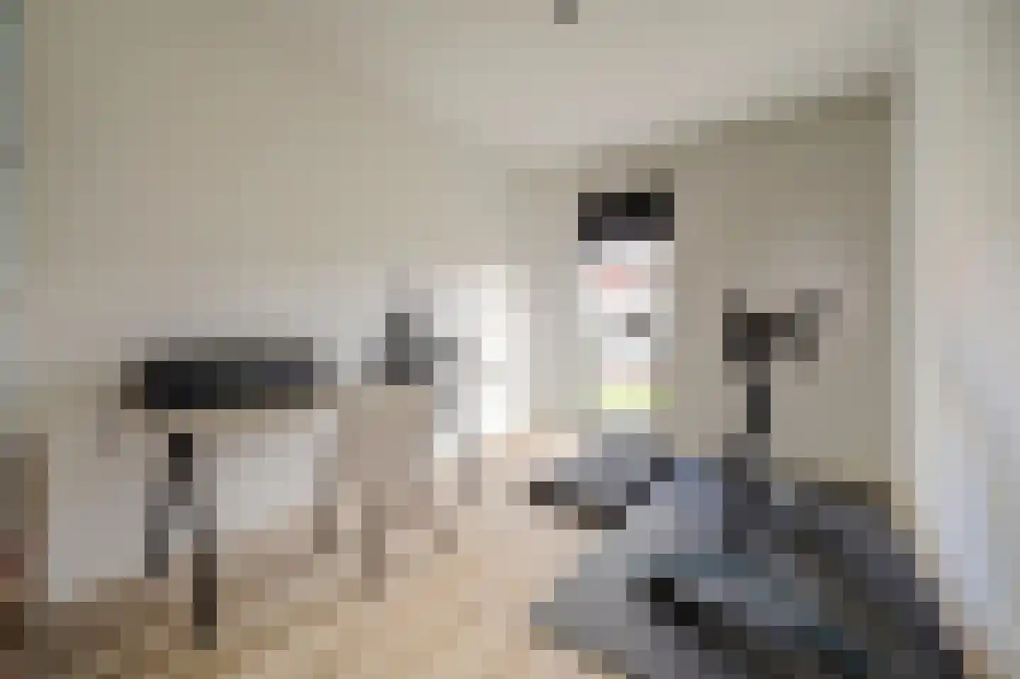Spoorpad 144 Waddinxveen thumbnail 24
