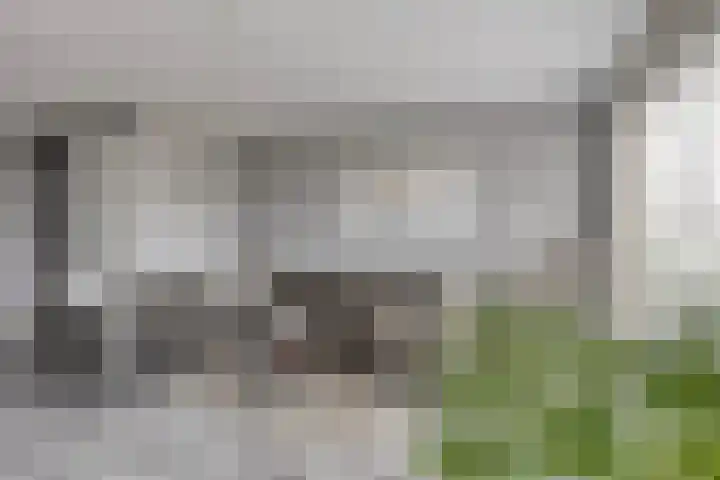 Spoorpad 158 Waddinxveen thumbnail 10
