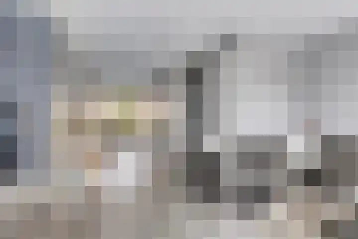 Spoorpad 158 Waddinxveen thumbnail 12