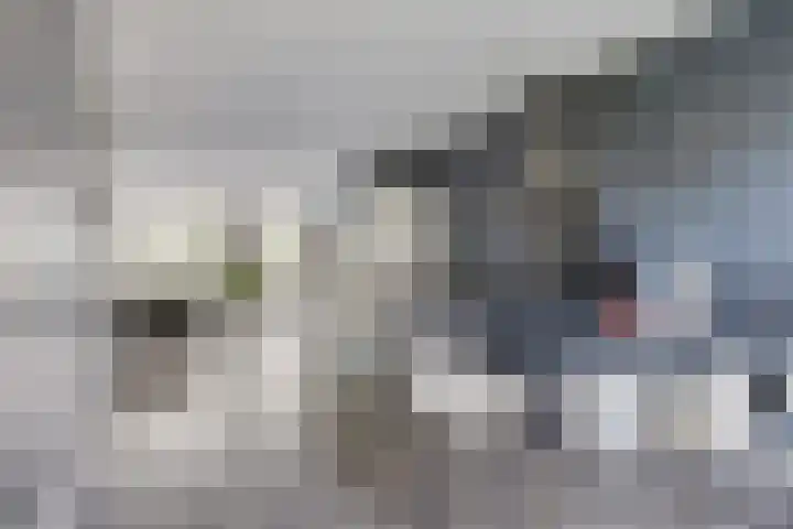 Spoorpad 158 Waddinxveen thumbnail 13
