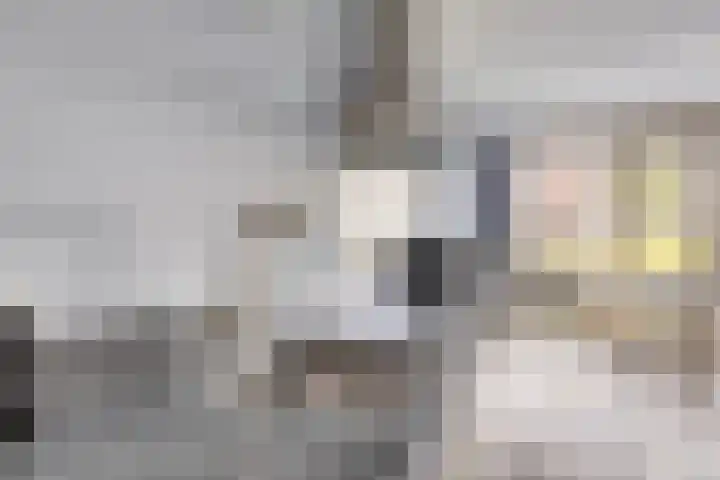 Spoorpad 158 Waddinxveen thumbnail 14
