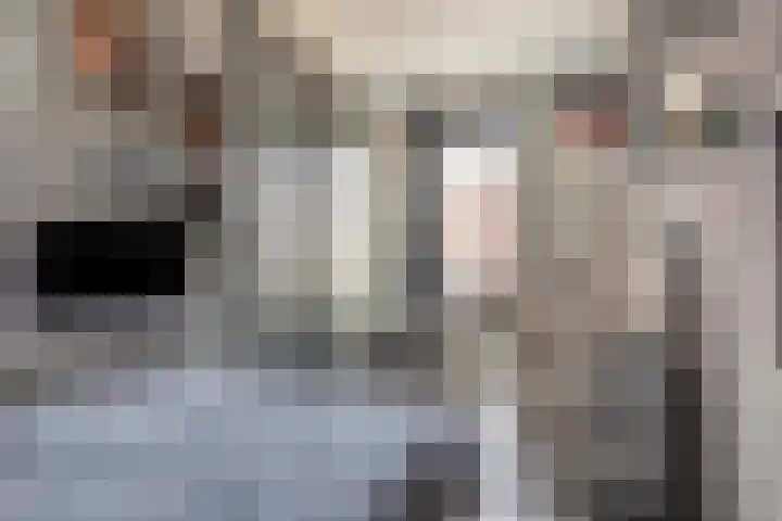 Spoorpad 158 Waddinxveen thumbnail 23