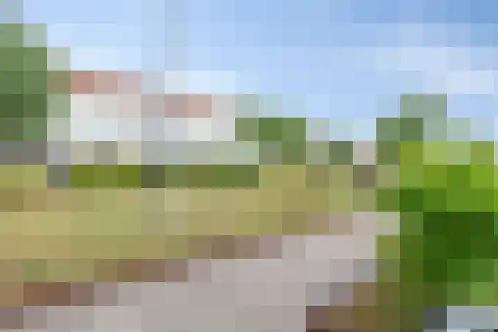 Spoorpad 158 Waddinxveen thumbnail 28