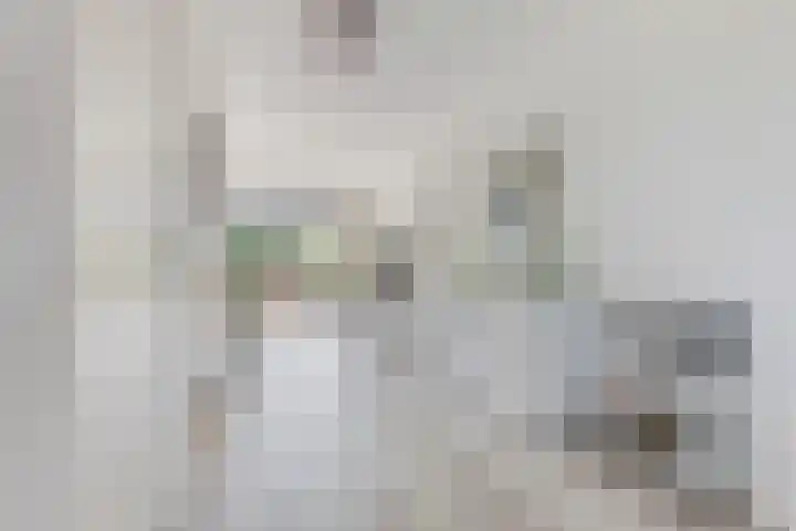 Spoorpad 174 Waddinxveen thumbnail 13