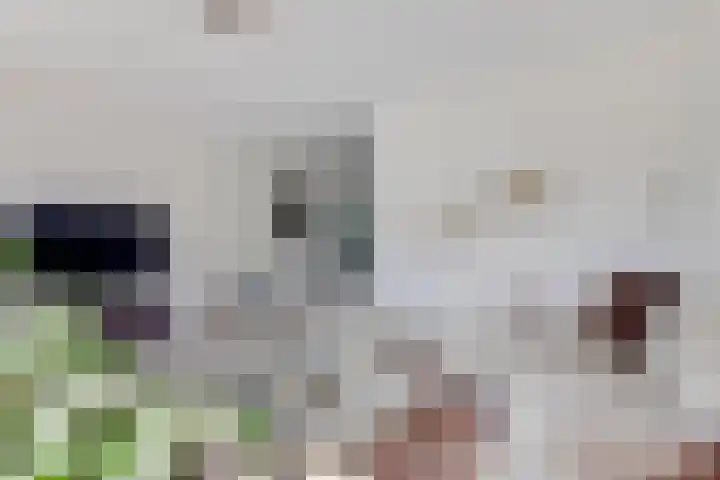 Spoorpad 174 Waddinxveen thumbnail 18