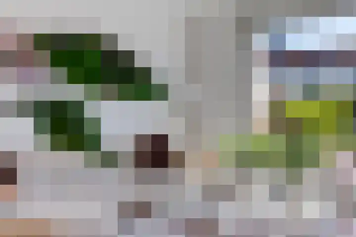 Spoorpad 174 Waddinxveen thumbnail 19