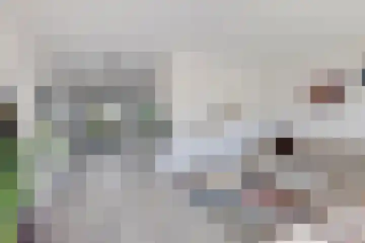 Spoorpad 174 Waddinxveen thumbnail 21