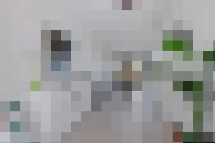 Spoorpad 174 Waddinxveen thumbnail 22