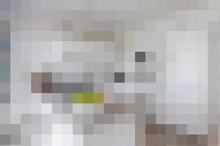 Spoorpad 174 Waddinxveen thumbnail 27
