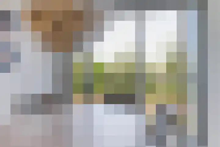 Spoorpad 174 Waddinxveen thumbnail 33