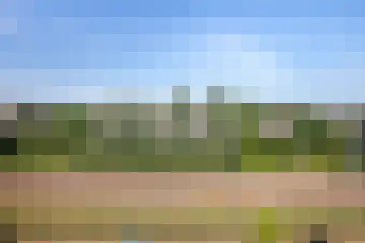 Spoorpad 174 Waddinxveen thumbnail 34