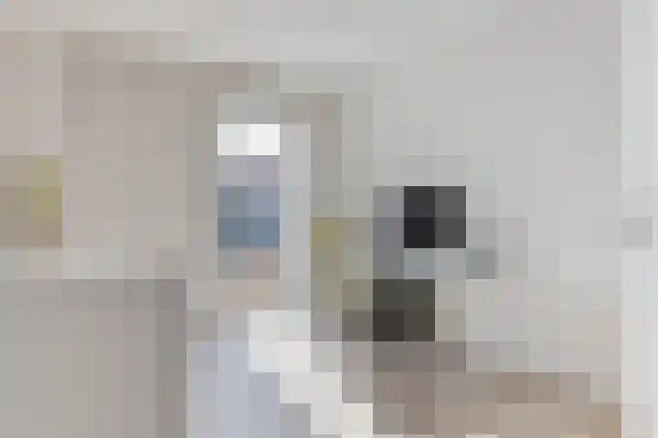 Spoorpad 174 Waddinxveen thumbnail 43