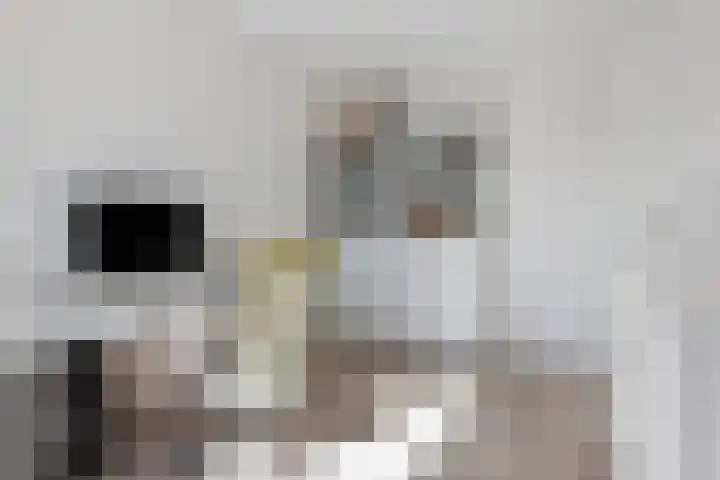 Spoorpad 174 Waddinxveen thumbnail 45