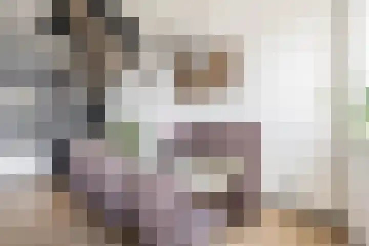 Spoorpad 180 Waddinxveen thumbnail 18