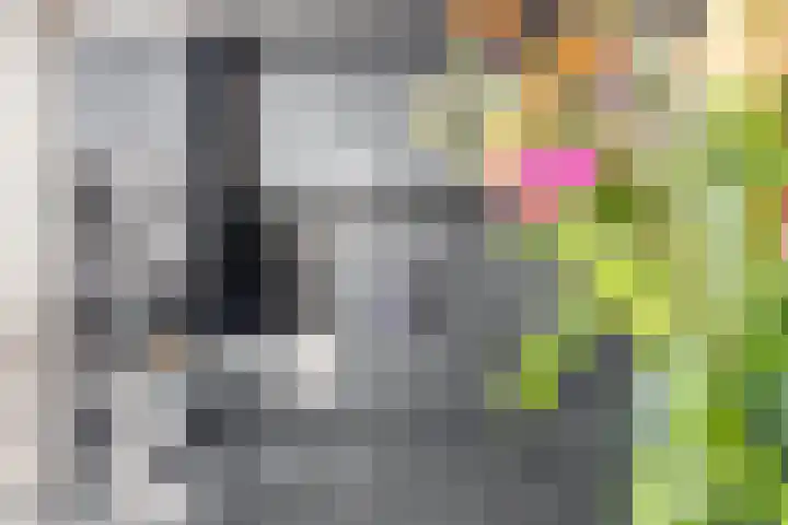 Spoorpad 180 Waddinxveen thumbnail 20