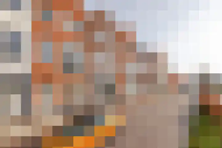 Spoorpad 180 Waddinxveen thumbnail 30