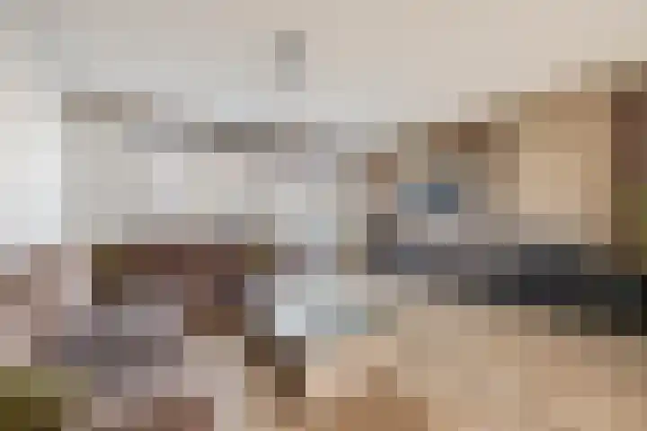 Spoorpad 180 Waddinxveen thumbnail 4