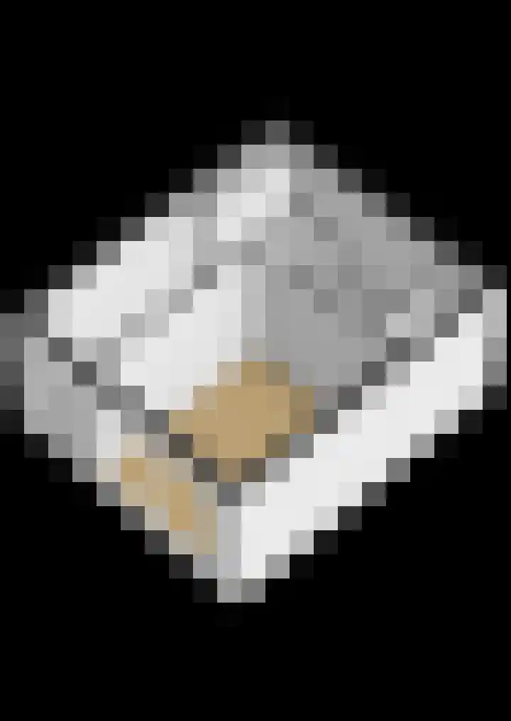 Spoorpad 180 Waddinxveen thumbnail 45
