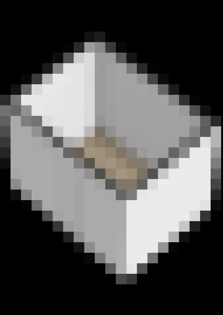 Spoorpad 180 Waddinxveen thumbnail 47