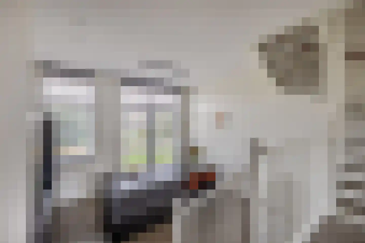 Spoorpad 186 Waddinxveen thumbnail 16