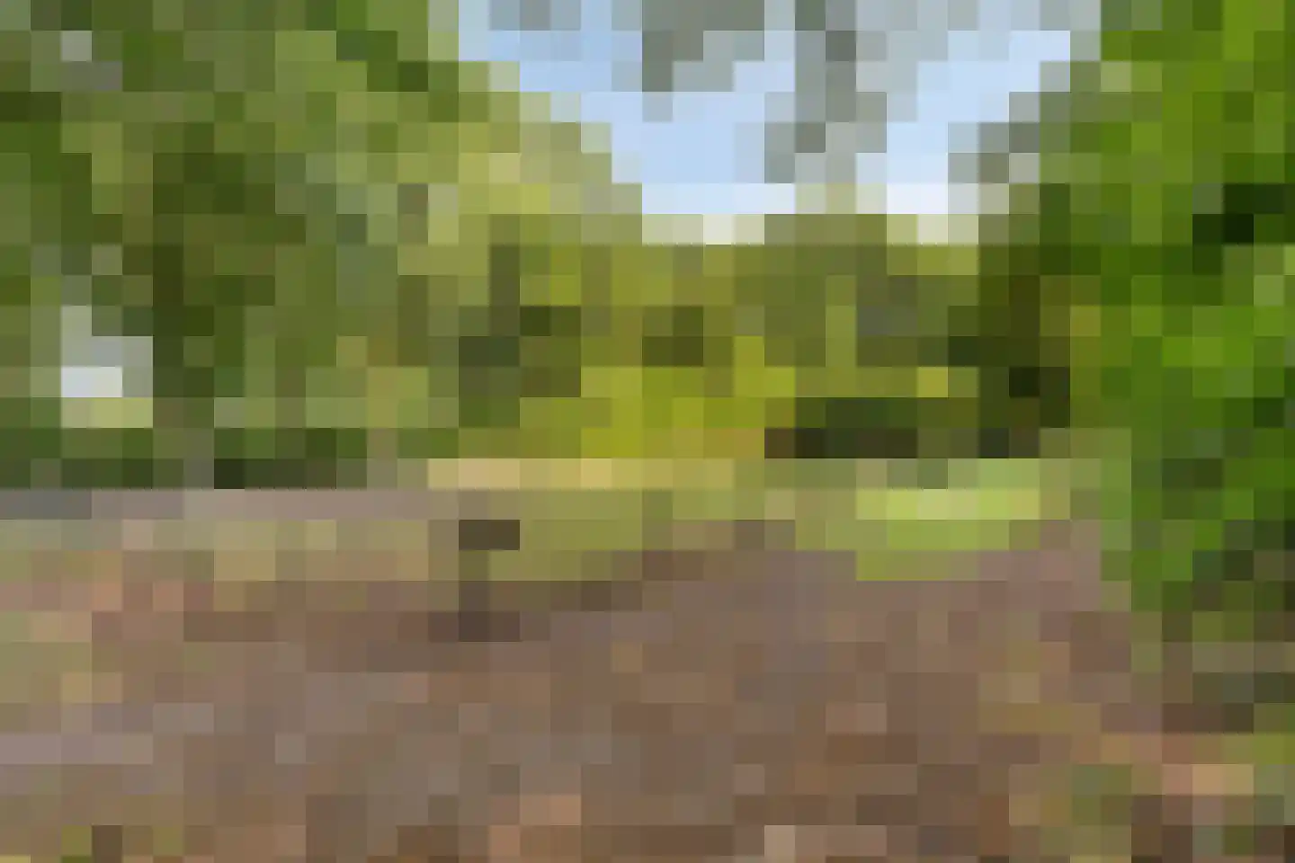 Spoorpad 25 Baarle-Nassau thumbnail 41