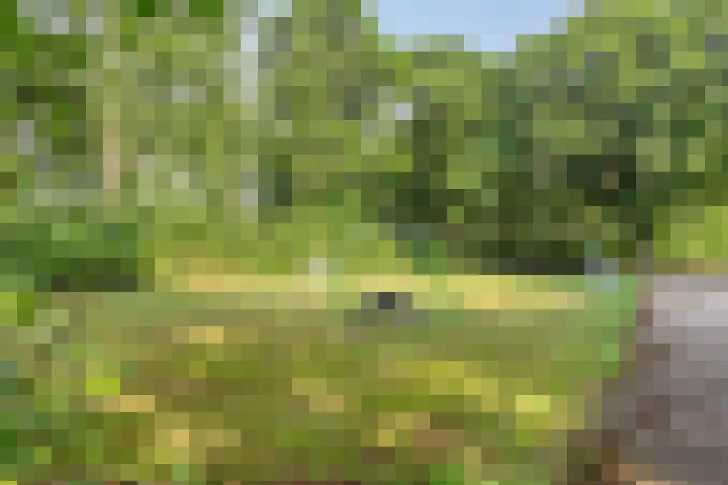 Spoorpad 25 Baarle-Nassau thumbnail 42