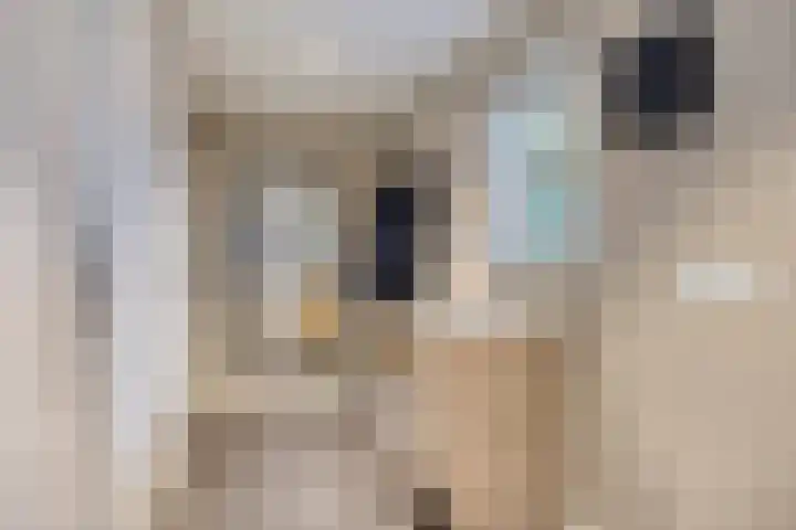 Spoorpad 6 Geffen thumbnail 17
