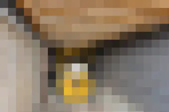 Spoorpad 6 Geffen thumbnail 48