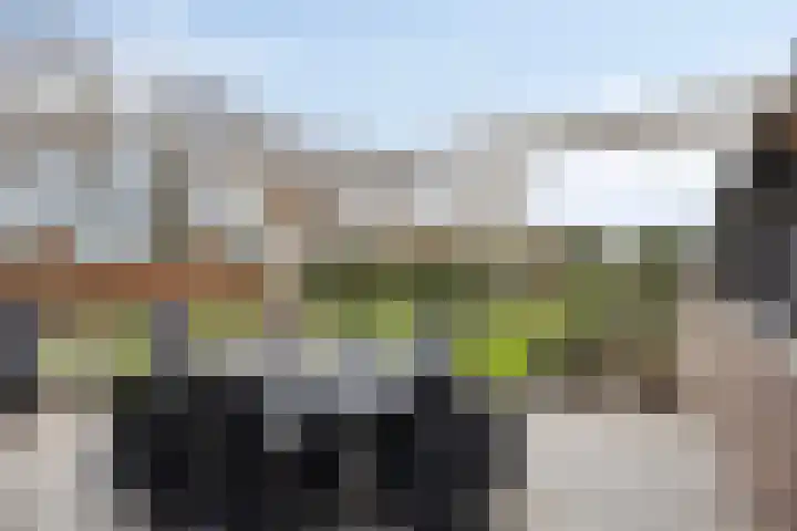 Spoorpad 6 Geffen thumbnail 49