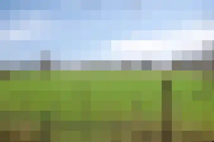 Spoorpad 6 Geffen thumbnail 58