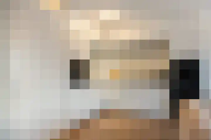 Spoorpad 60 Waddinxveen thumbnail 14