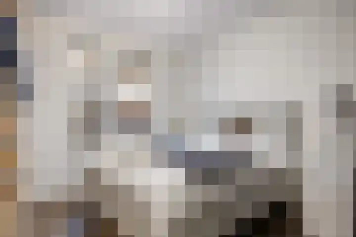 Spoorpad 60 Waddinxveen thumbnail 17