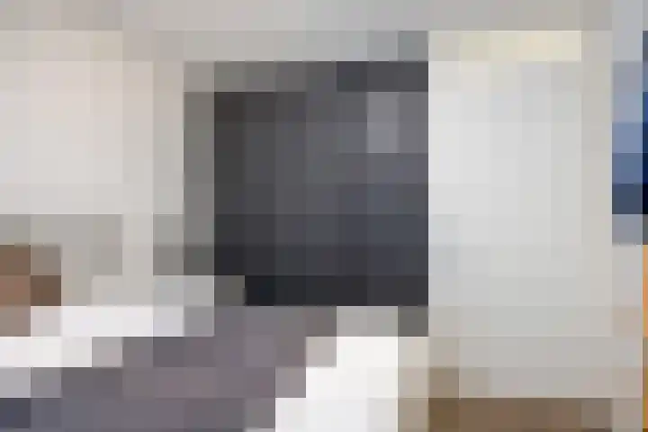Spoorpad 60 Waddinxveen thumbnail 18