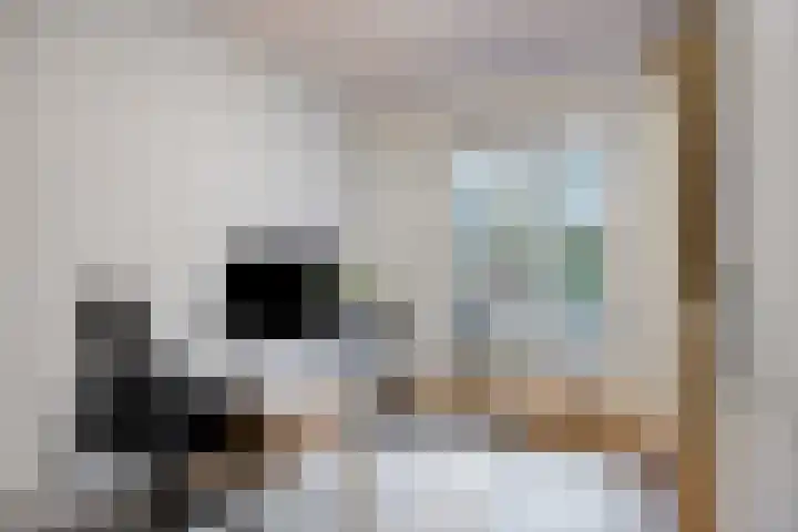 Spoorpad 60 Waddinxveen thumbnail 22