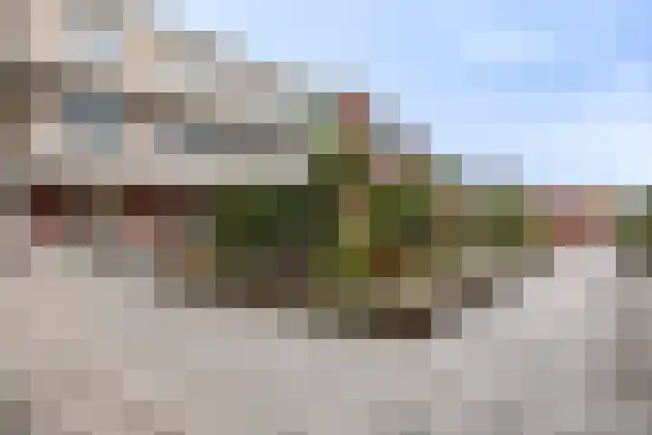 Spoorpad 60 Waddinxveen thumbnail 29