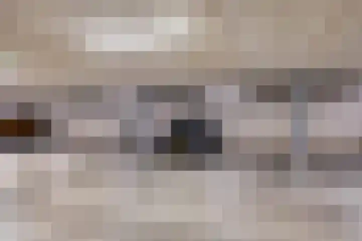 Spoorpad 60 Waddinxveen thumbnail 31