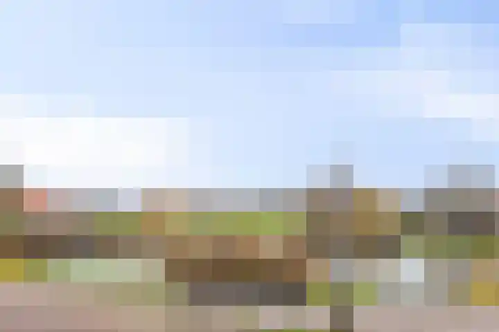 Spoorpad 60 Waddinxveen thumbnail 39
