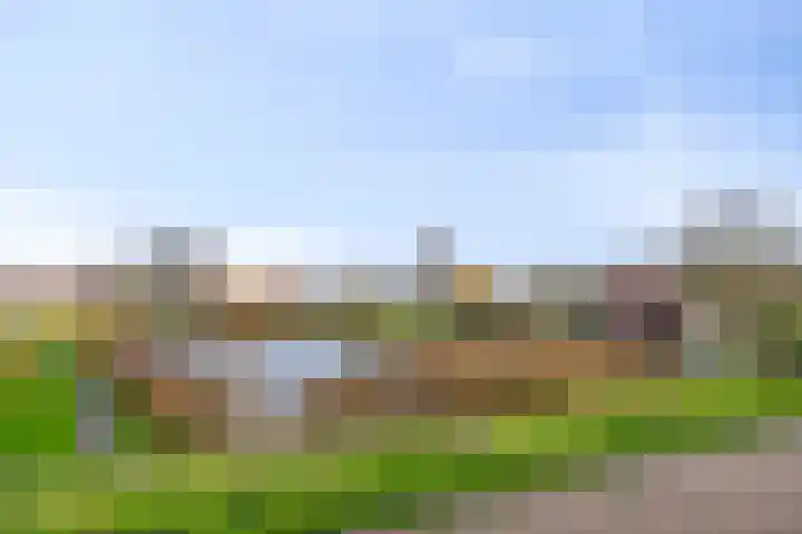 Spoorpad 60 Waddinxveen thumbnail 40